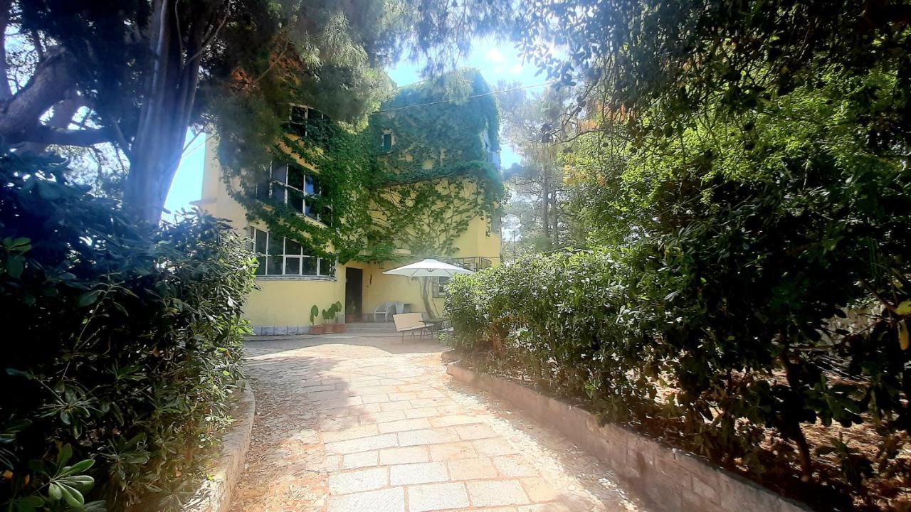 Old Captain'S Apartments - In A Pine Wood By The Sea And Tennis Courts Сплит Екстериор снимка